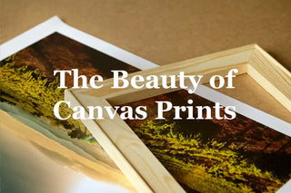 The beauty of quality canvas art prints
