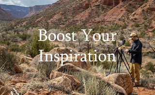 How To Boost Your Artistic Inspiration And Support Your Mental Health Through Nature