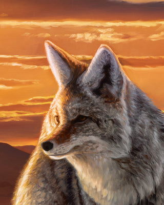 "The Setting Sun" - 30x40 Coyotes on the Prairie Original Oil Painting
