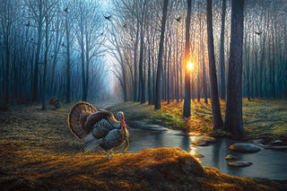 'Only A Dream' - 24x36 Wild Turkey Oil Painting