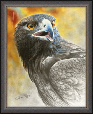 "More Precious Than Gold" - Framed Golden Eagle Art Print