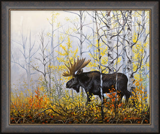 "Rare Moments" - Framed Moose Wildlife Art Print