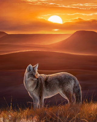 "The Setting Sun" - 30x40 Coyotes on the Prairie Original Oil Painting