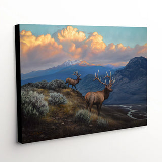 "Serene Stillness" - Bull Elk Wildlife Canvas Art Print