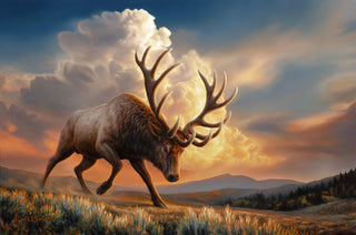 'The Challenger' - 24x36 Bull Elk Oil Painting