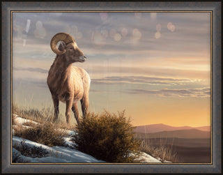"Waiting for Spring" - Framed Big Horn Sheep Art Print