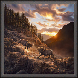 'Uncertain Consequences' - Bighorn Sheep Landscape Framed Art Print