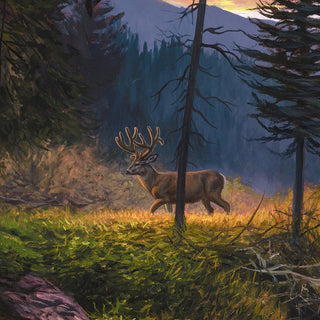 'Morning Routine' - 24x36 Mule Deer Landscape Oil Painting