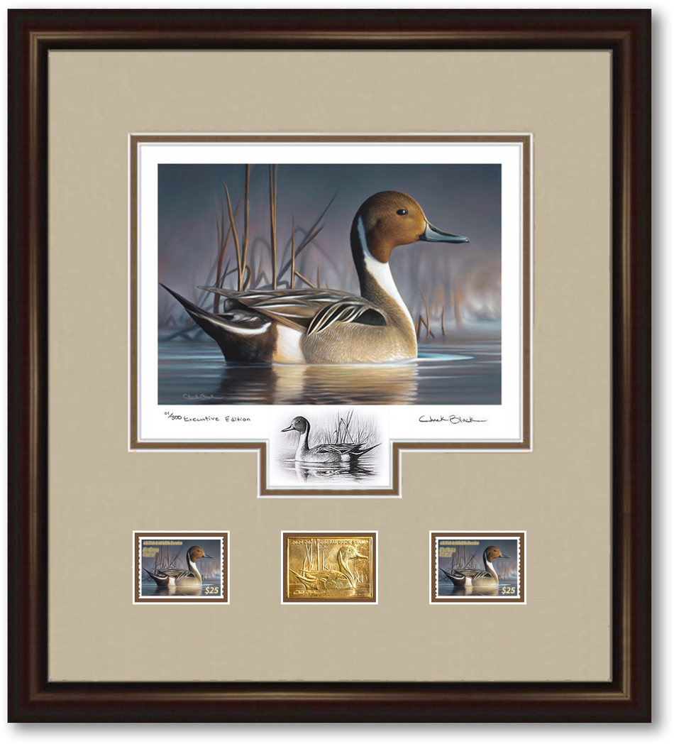 Federal Duck Stamp Art Prints Chuck Black Art federal-duck-stamp-art-prints-chuck-black-art
