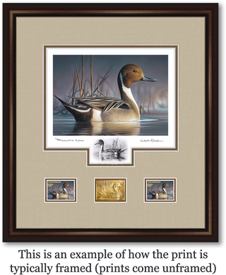 Federal Duck Stamp Art Print - Executive Edition