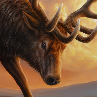 'The Challenger' - 24x36 Bull Elk Oil Painting