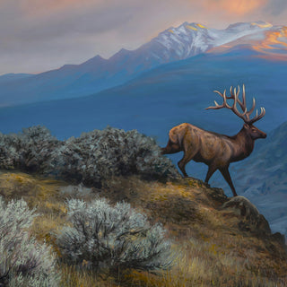 "A Serene Stillness" - 30x40 Bull Elk Wildlife Painting (Framed)