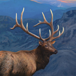 "A Serene Stillness" - 30x40 Bull Elk Wildlife Painting (Framed)