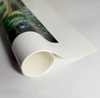 shop rolled canvas art prints, fine art reproductions