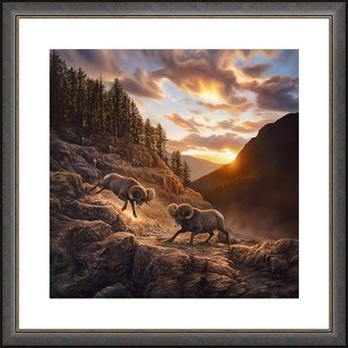 'Uncertain Consequences' - Bighorn Sheep Landscape Framed Art Print