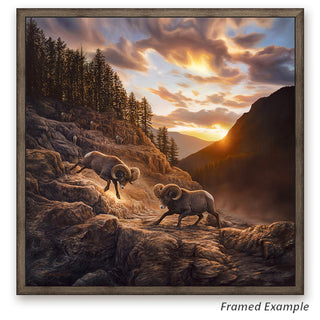 'Uncertain Consequences' - Bighorn Sheep Landscape Canvas Art Print