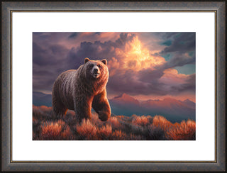 'Independence' - Framed Grizzly Bear Wildlife Art