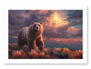 'Independence' - Grizzly Bear Art Print