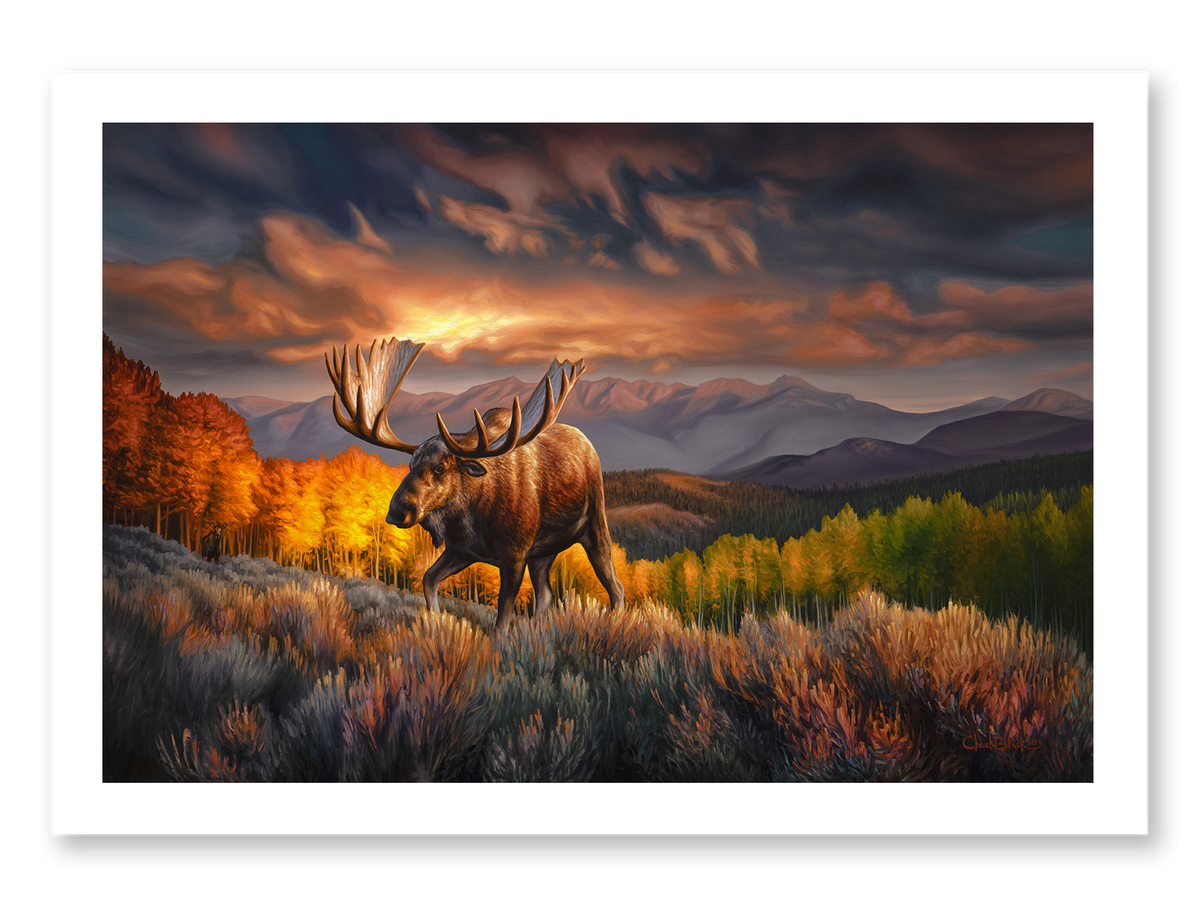 Shop Wildlife Art and Landscape Prints by Chuck Black – Chuck Black Art