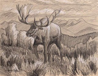 'In Paradise' - 11x14 Moose Sketch