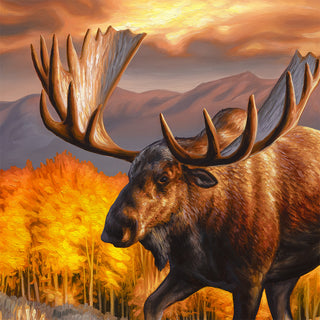 'Paradise' - 24x36 Bull Moose Oil Painting