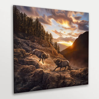 'Uncertain Consequences' - Bighorn Sheep Landscape Canvas Art Print
