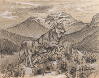 'In Search' - 11x14 Wolf Sketch