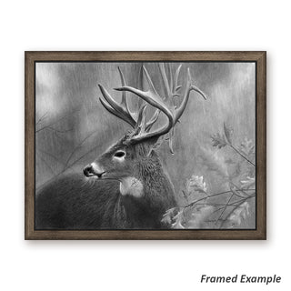 Framed 'Rainy Days' Canvas Print - detailed black and white buck portrait