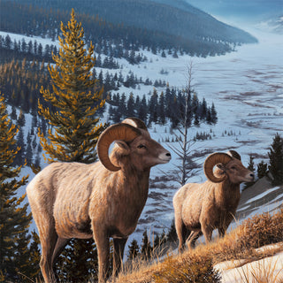Original Painting - Wildlife and landscape art by Chuck Black