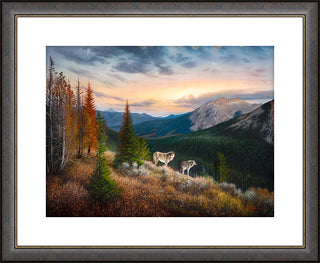 "The Edge" - Framed Landscape Art Print, Wolf Pair