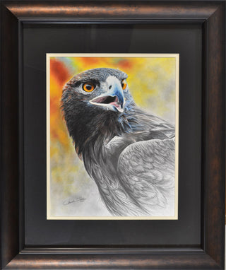 Original Painting - Wildlife and landscape art by Chuck Black