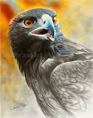 Original Painting - Wildlife and landscape art by Chuck Black