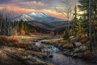 Original Painting - Wildlife and landscape art by Chuck Black