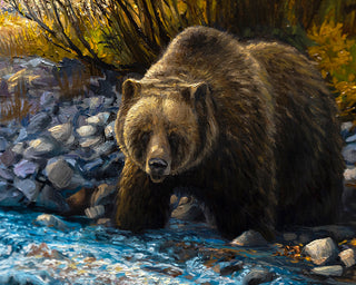Grizzly Bear Wildlife Art Print - Oil Painting