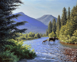  - Wildlife and landscape art by Chuck Black