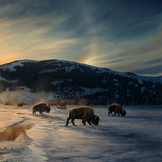 "Sundog Days" - Bison Sunrise Art Print