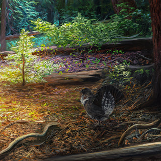 "Deep Within" - Forest Landscape Art Print